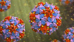 Poliovirus found in sewage samples of eight districts