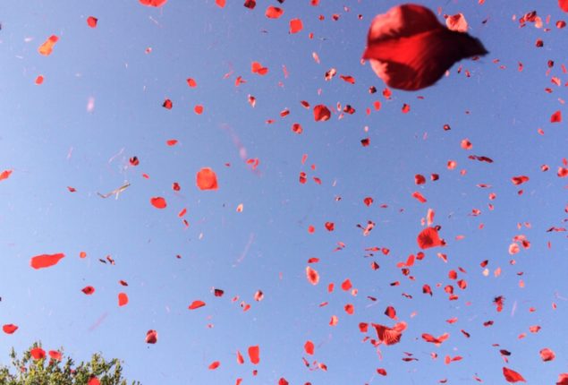 PMLN hires private planes to shower flower petals on Nawaz’s welcome