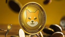 Shiba Inu Price Prediction