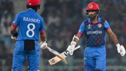 ICC World Cup 2023: Afghanistan Dominate Netherlands