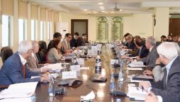 ECC calls for ensuring affordable fertilizer’s rates for farmers