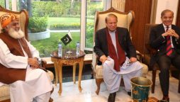 PML-N supremo Nawaz Sharif meets JUI-F chief Fazal ur Rehman