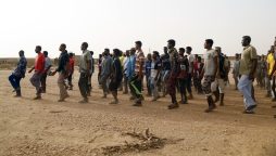 Sudan's Wad Madani Becomes New Battlefield in Ongoing Conflict
