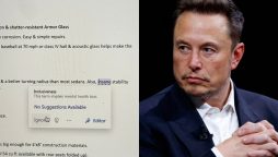 Musk Takes a Swipe at Microsoft Word's Inclusivity Tool