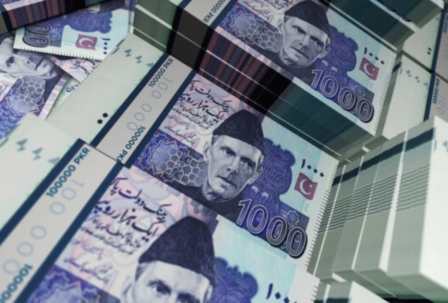 Finance Division disburses Rs17.4bn to ECP for elections