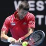 Djokovic battles through wrist pain as Australian Open nears