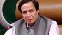 Pervaiz Elahi