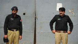 More than 17800 candidates to contest in general elections