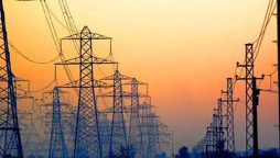 Senate Committee protests