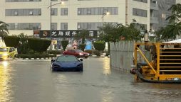 Dubai driving license tests