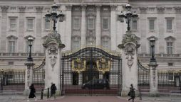 Buckingham Palace Gate Crash: Man Arrested in Security Breach