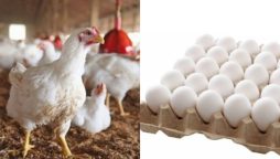 Chicken meat and egg prices soar in Karachi