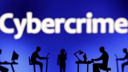 Hundreds of Indians rescued from cyber-scam factories in Cambodia