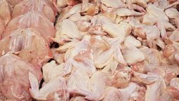 Chicken price drops by Rs 200 per kg – Expected new rates