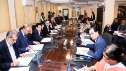 UAE business leaders asked to avail investment chances in Pakistan