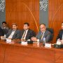 Pakistan to ensure protection of Chinese working in country: Ahsan Iqbal