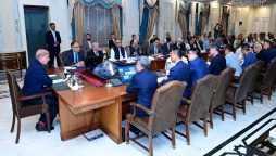 Safety of Chinese citizens top priority for govt: PM