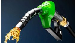 Petrol, diesel prices to remain same for next fortnight