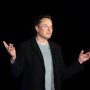 Elon Musk abruptly drops case against OpenAI