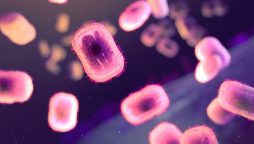 One fatality reported as MPOX outbreak strikes South Africa