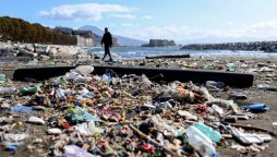 Study shows that Indonesians have highest Global Microplastic intake
