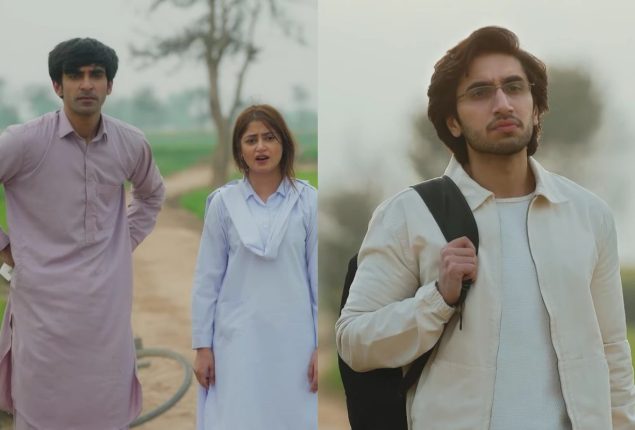 Netzines love Sajal Aly and Hamza Sohail natural acting in “Zard Patton Ka Bunn”