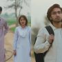Netzines love Sajal Aly and Hamza Sohail natural acting in “Zard Patton Ka Bunn”