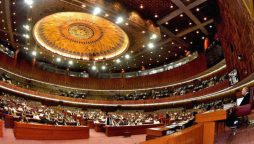 Lawmakers call for revisions on taxes for agriculture, baby milk