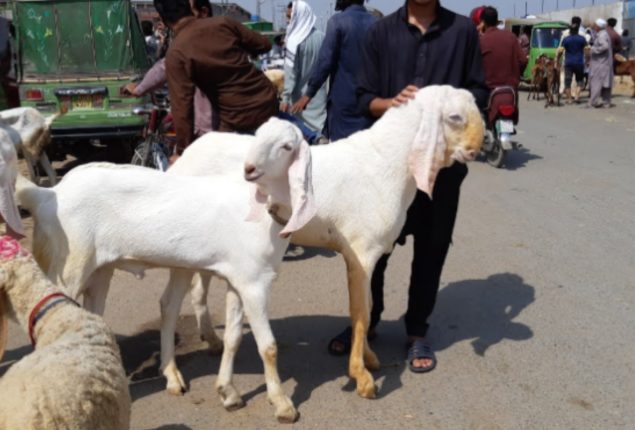 Eid ul Adha 2024 Holidays Declared By Federal Government in Pakistan