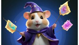 Hamster Kombat Daily Combos Today