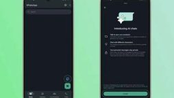 How to Use WhatsApp Meta AI Chatbot? Check Details