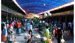 Punjab Govt to Launch Model Bazaar App with Free Delivery!