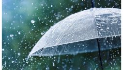 Eid-ul-Adha 2024 weather Update: Rain to bring relief on Eid