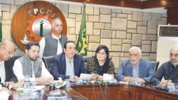 Budget Not Business Friendly