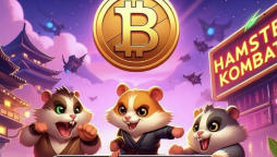 Hamster Kombat Daily Combos Today