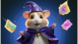 Hamster Kombat Daily Combos Today