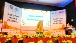 Dubai's Grand Mango Festival Embracing Pakistani Culture!