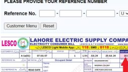 How to download July 2024 electricity bill in Lahore, other cities; details inside