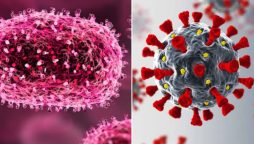 Thailand reports Asia’s first case of new Mpox strain