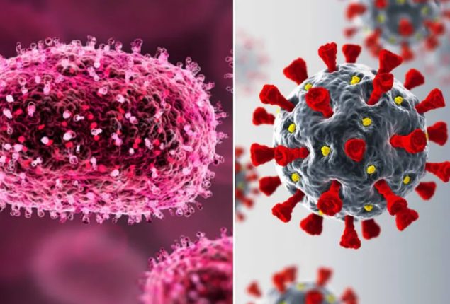 Thailand reports Asia’s first case of new Mpox strain