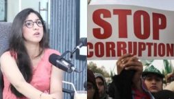 Mariyam Nafees criticizes Pakistani nation as 'Corrupt and Lazy'