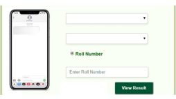 Punjab board Class 9 result 2024 expected date revealed