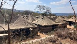 95 Libyans deported by South Africa after being found at military camp