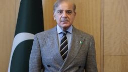 Govt, institutions working to steer country out of crises: PM