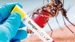 Punjab reports 79 new dengue cases