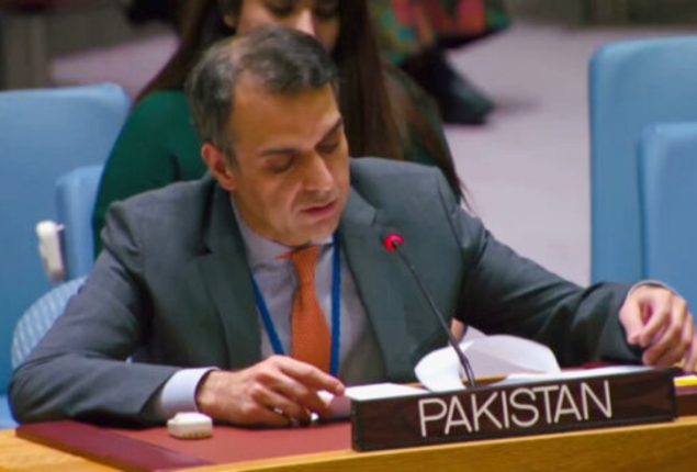 Pakistan urges action on war crimes in Palestine and Kashmir