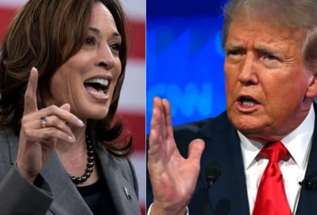 How are votes counted in US Election?