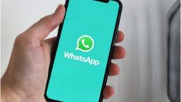 WhatsApp beta resolves chat bar issue and introduces AI chatbot tab