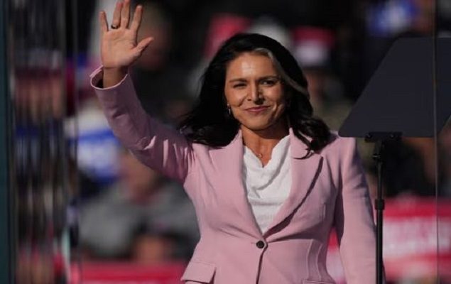 Tulsi Gabbard’s appointment as next US Director of National Intelligence sparks widespread criticism