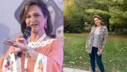 Bushra Ansari challenges artists to aim higher in their craft